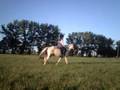 Basia i Luksus galop