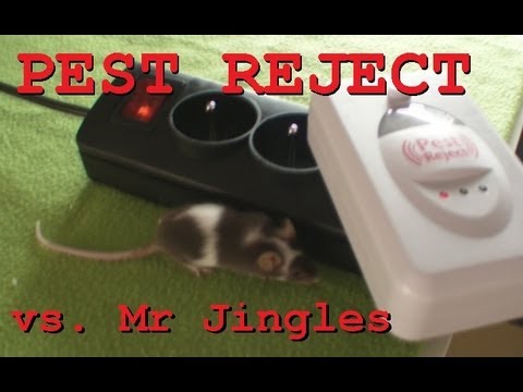 AdBuster - konfrontacja Pest Reject (fuck logic!)