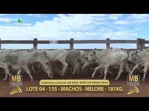 552� LEIL�O VIRTUAL MB LEIL�ES