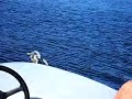 Die Fahrt durch einen Regenbogen
