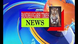 News- Bandhavgarh TImes |  NIED Awarded by PIE Award 