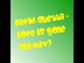 David Guetta - Love is Gone (DJ-Mix)