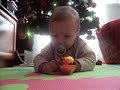 tian sedi.html
