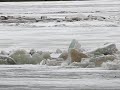Ice Flowing at Moosonee 2008 April 23rd 9 am
