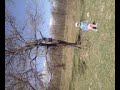 Click here to watch this video ianis la tara