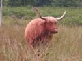 video of scotland wallance monument ben lomond loch lomond sterling castle sir walter scott steam boat