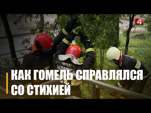 «Поднимаю глаза и вижу надвигающееся на меня падающее дерево». Гомельчанка рассказала, как во время шторма на неё чуть не свалилось дерево видео