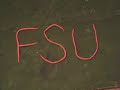 Noles in Clay Noles in Clay