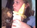 stop animaction?