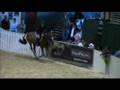 videos de A Day at the Beach (Pony For Sale)