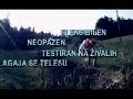 video Tine