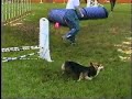 Winston-Salem, NC Agility Trial