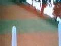 GeoBat Aerial Video