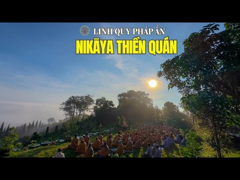NIKAYA Thiền Quán - Khổ Hạnh Tột Cùng Của Thái Tử & Nỗi Lòng Người Thầy **
