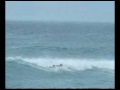 Surf Dias perfeitos
