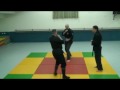 NINJUTSU TECHINQUES 2010.avi