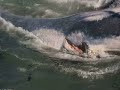 The Whale Spirit's Song