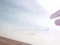صيد كدرى ودحروج اشهب وحبارى صيد كدرى ودحروج اشهب وحبارى