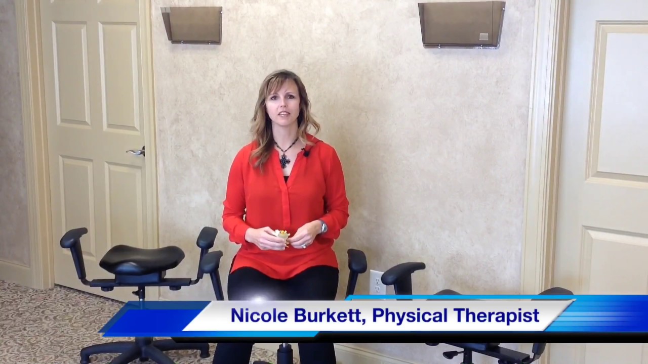 Intervertebral Discs | Nicole Burkett