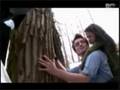 play video - Twilight - Twilight