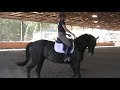 **SOLD** Caspian "Cass" Sale Video - free flv video @ vwatch.tv