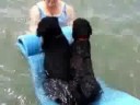 Porties on the Raft