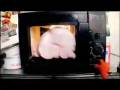 videos de Merry Xmas! - from Fur TV #2