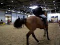 Reitunfall Reitunfall