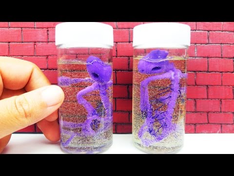 DIY PRESERVED LIZARD BONES