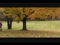 Miyuki Playing With Leaves