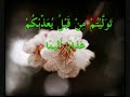 سورة,الفتح,الشيخ