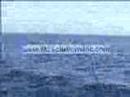 Cabo Fishing NOV 2006