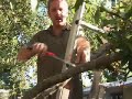 Landscape Tips - Triming Trees