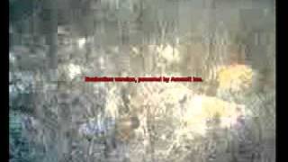 قرية المزار المهجره - موقع بوابة جنين