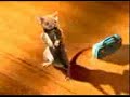 Mouse_dancing