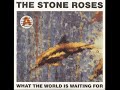 teledysk, klip, Stone Roses,- What The World Is Waiting For