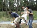 Act 3. In the forest