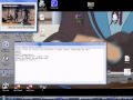 Cheats Css