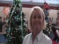 Festival of Trees