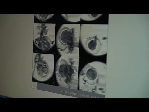 China: Erste genmanipulierte Babys sollen zur Welt ...