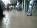 palarong 2d(part dos)