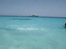 Red Sea Dive PADI Travel