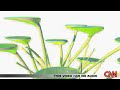 Adaptive Solar Trees by Ross Lovegrove