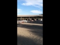 Click here to watch this video Jumping Midas (Spring 2011)