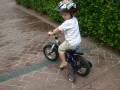 lucas
