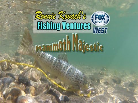Kovach - Ronnie & friends fish Mammoth's Eastern high Sierra's trout opener .The trout fishing was outstanding and as always with some great tackle tips. You can enjo...
