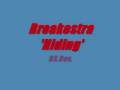 Breakestra ~ Hiding