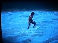 Skimy Dog Vi�a del mar SKIMBOARD! (frodo)