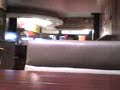 PERRA DESPREVENIDA JAJAJAJAJA