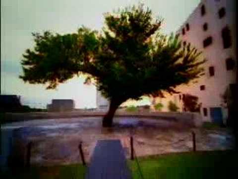 See video